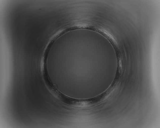 X0000101710492200807171539