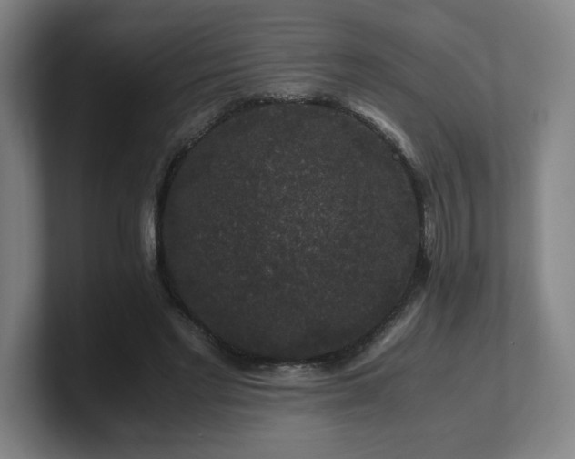 X0000101710493200807171539