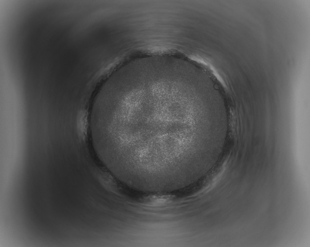 X0000101710495200807171539