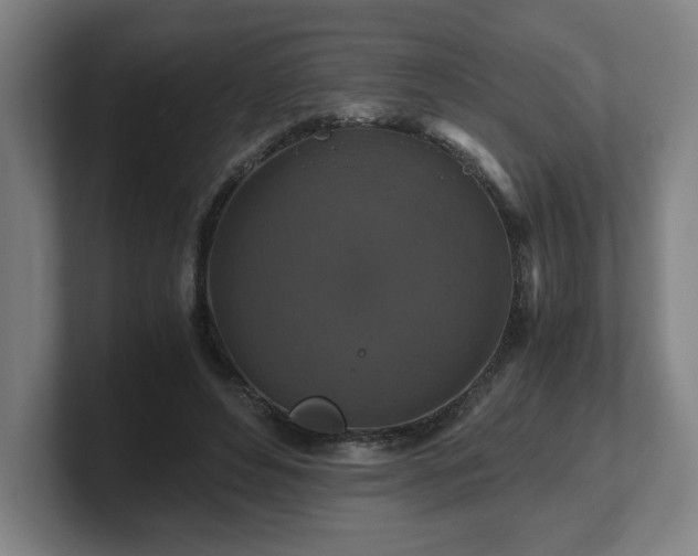 X0000101710496200807171539