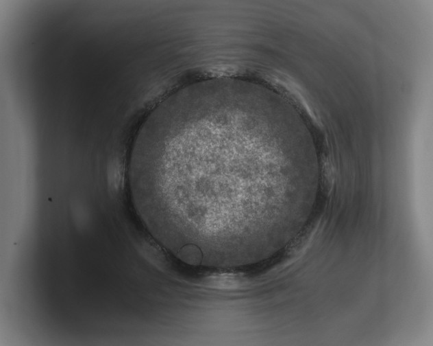 X0000101710499200807171539