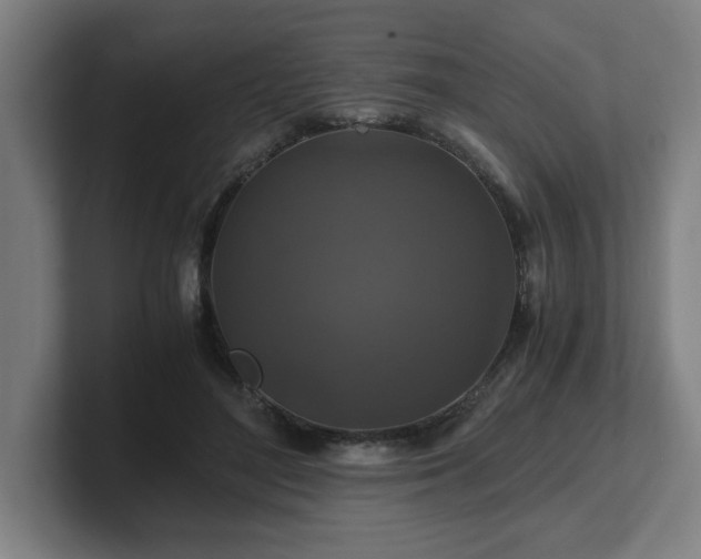 X0000101710500200807171539