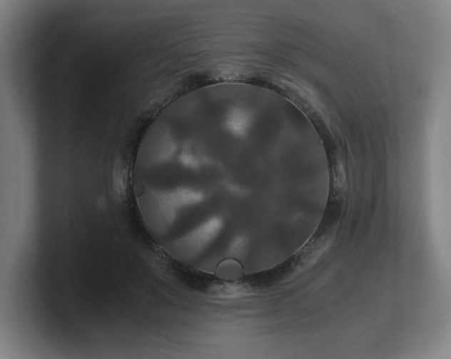 X0000101710503200807171539