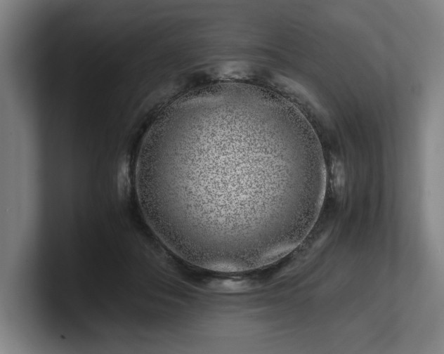 X0000101710506200807171538