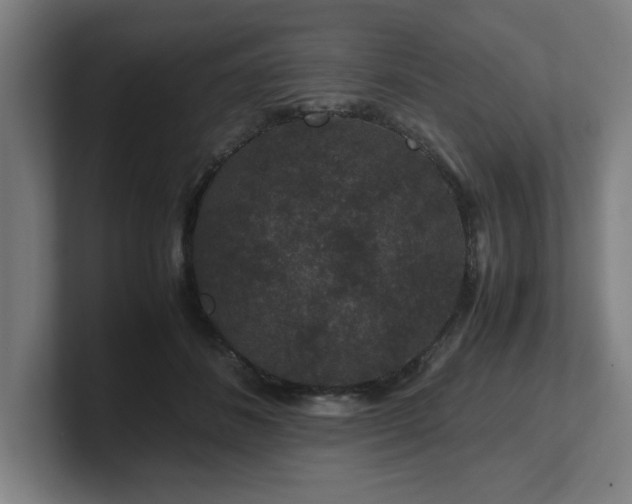 X0000101710508200807171538