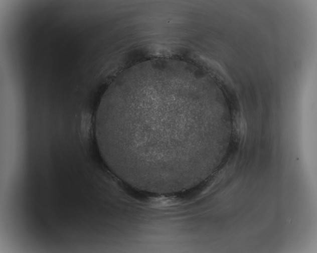 X0000101710511200807171538