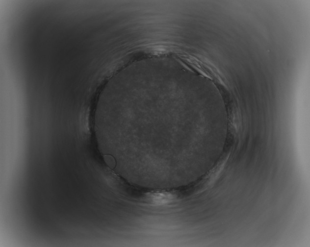 X0000101710512200807171538