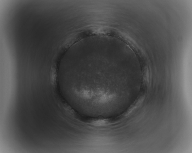 X0000101710513200807171538