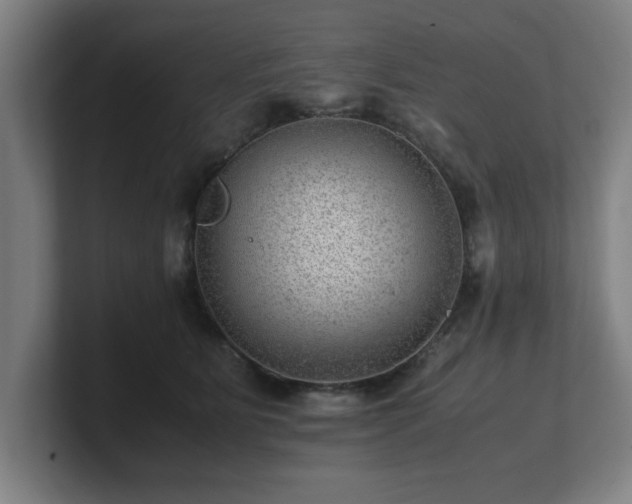 X0000101710515200807171538