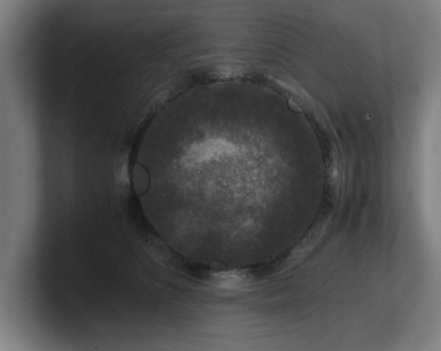 X0000101710516200807171538