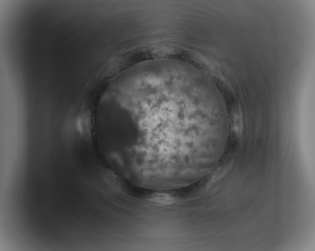 X0000101710519200807171538