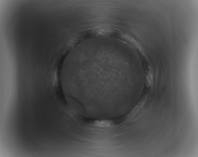 X0000101710520200807171538