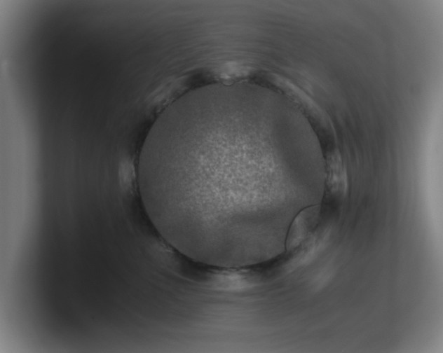 X0000101710523200807171538