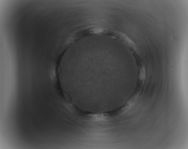 X0000101710524200807171538