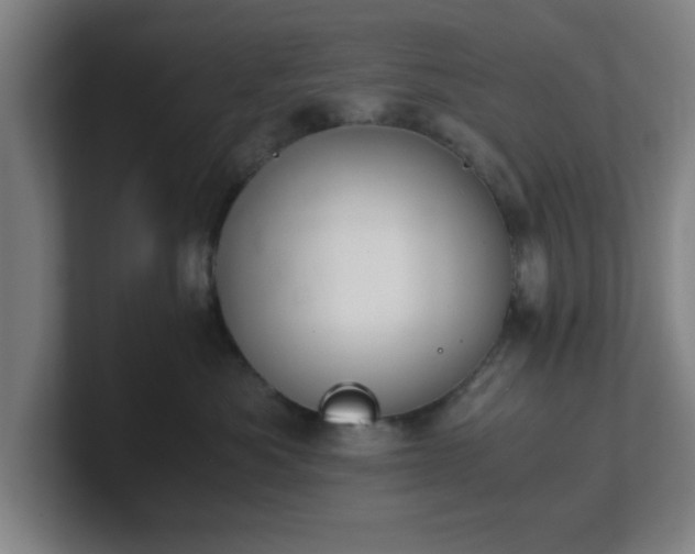 X0000101710525200807171538