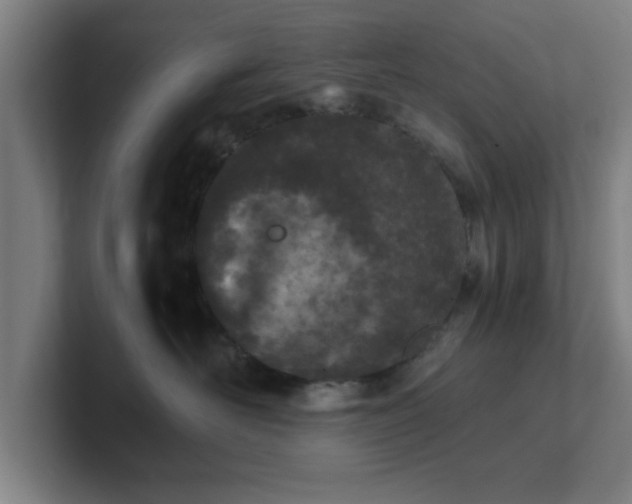 X0000101710526200807171538