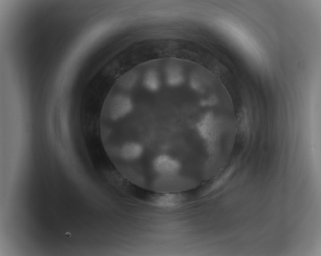 X0000101710527200807171538