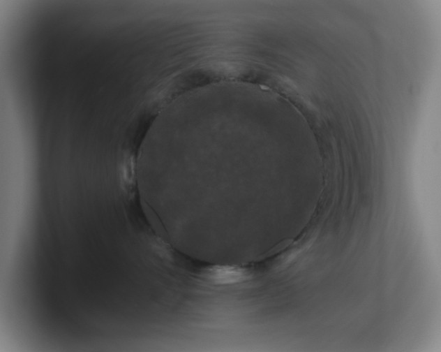 X0000101710528200807171538