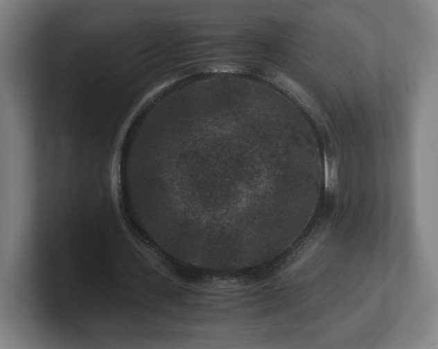 X0000101710531200807171538