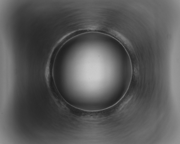 X0000101710532200807171538