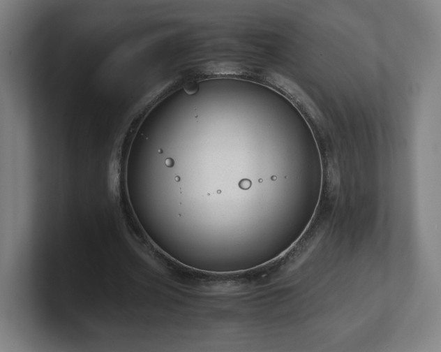 X0000101710533200807171538