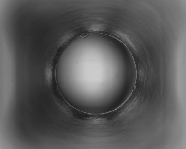 X0000101710539200807171538