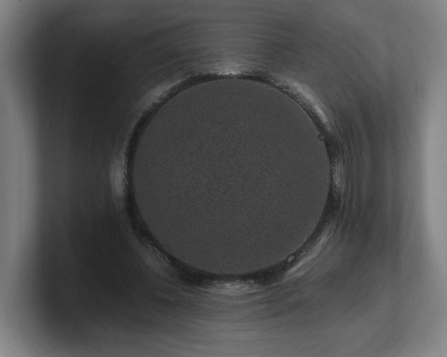 X0000101710540200807171538