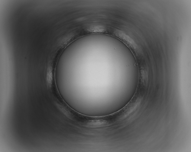 X0000101710541200807171538