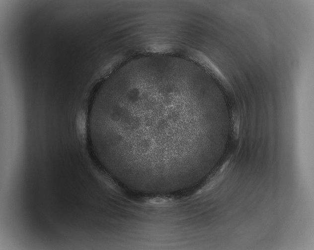 X0000101710542200807171538