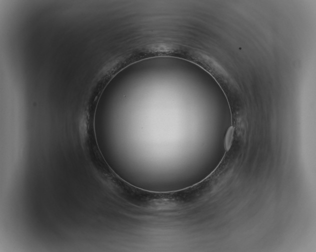 X0000101710544200807171538