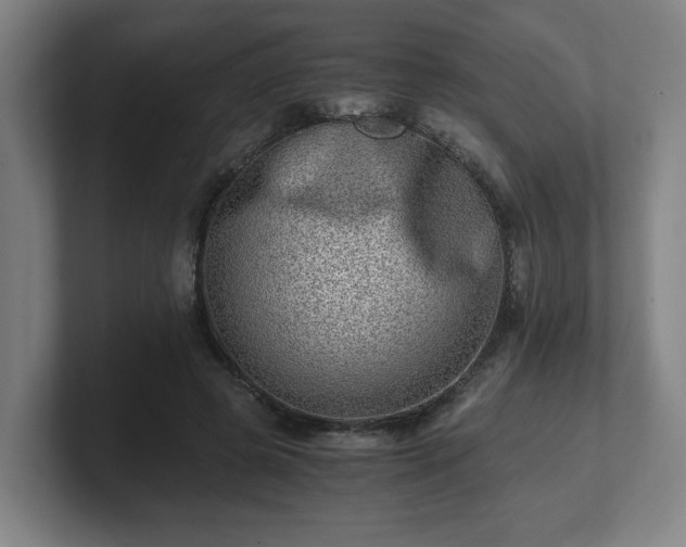 X0000101710545200807171538