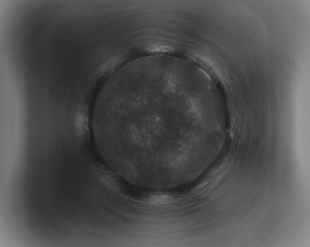 X0000101710547200807171538