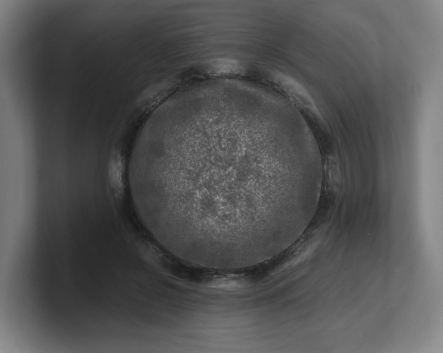 X0000101710550200807171538