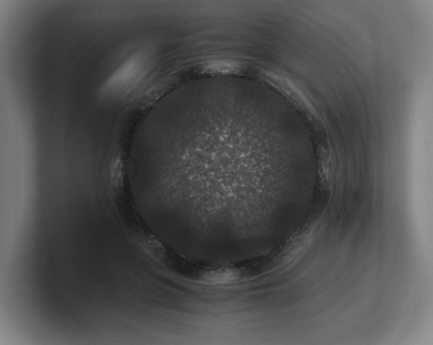 X0000101710551200807171538