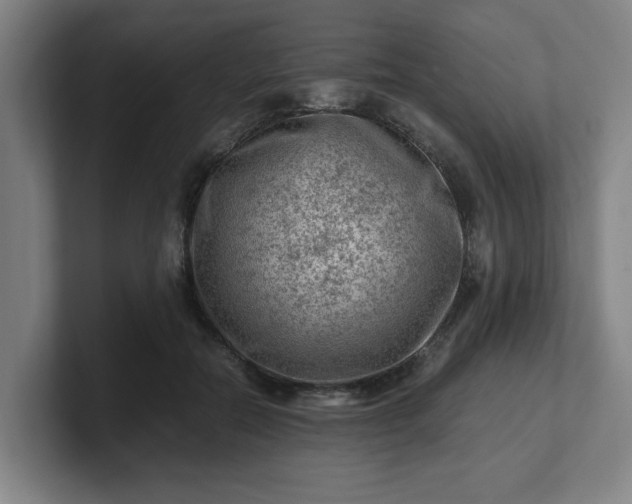 X0000101710554200807171538