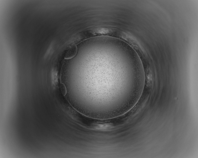 X0000101710555200807171538