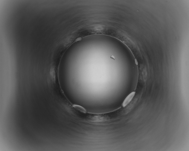 X0000101710562200807171538