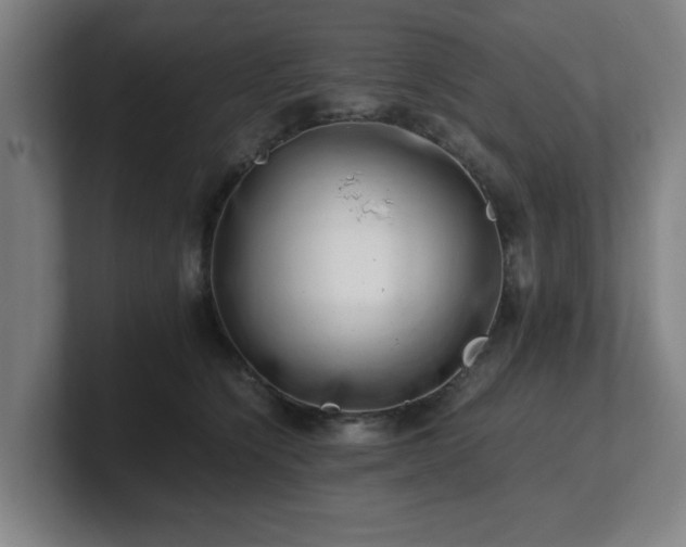 X0000101710564200807171538