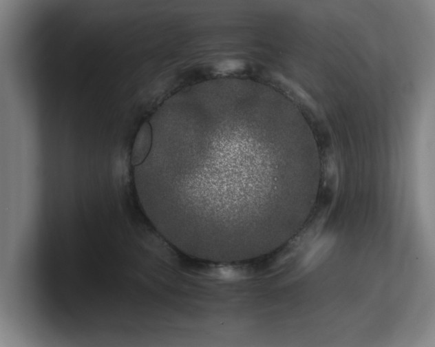 X0000101710565200807171538