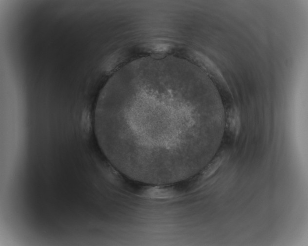 X0000101710568200807171538