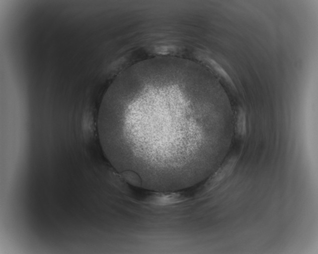 X0000101710569200807171538