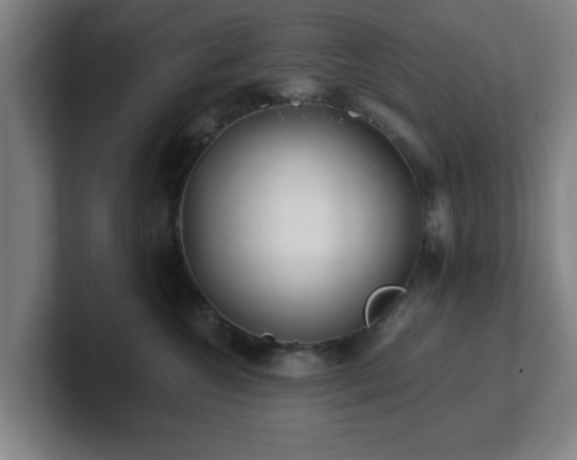 X0000101710572200807171538