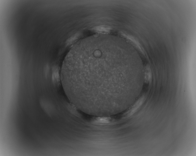 X0000101710573200807171538