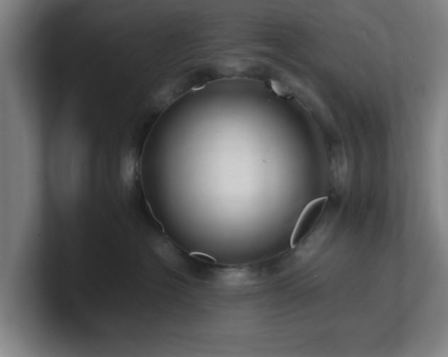 X0000101710574200807171538