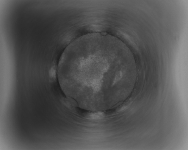 X0000101710576200807171538