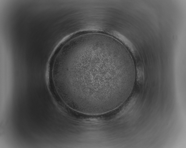 X0000101710580200807171538