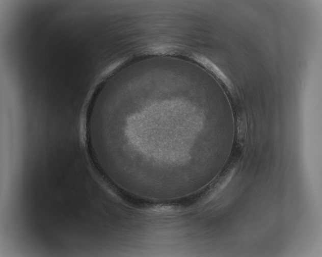 X0000101710581200807171537