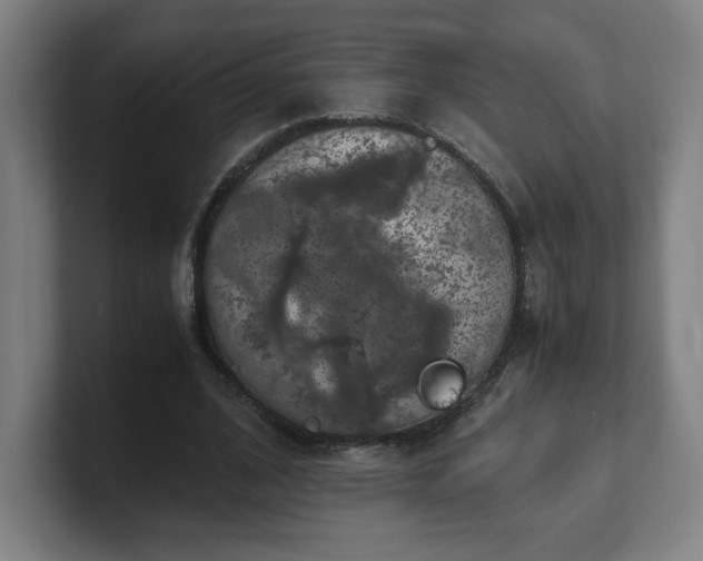 X0000101710584200807171537