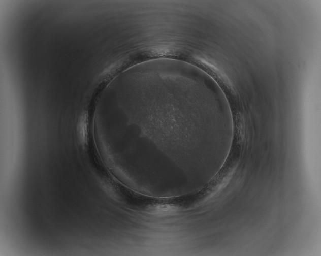 X0000101710590200807171537