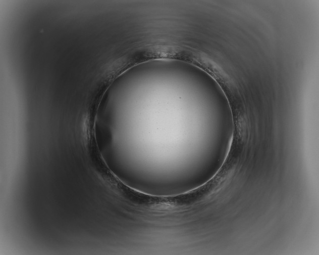 X0000101710594200807171537